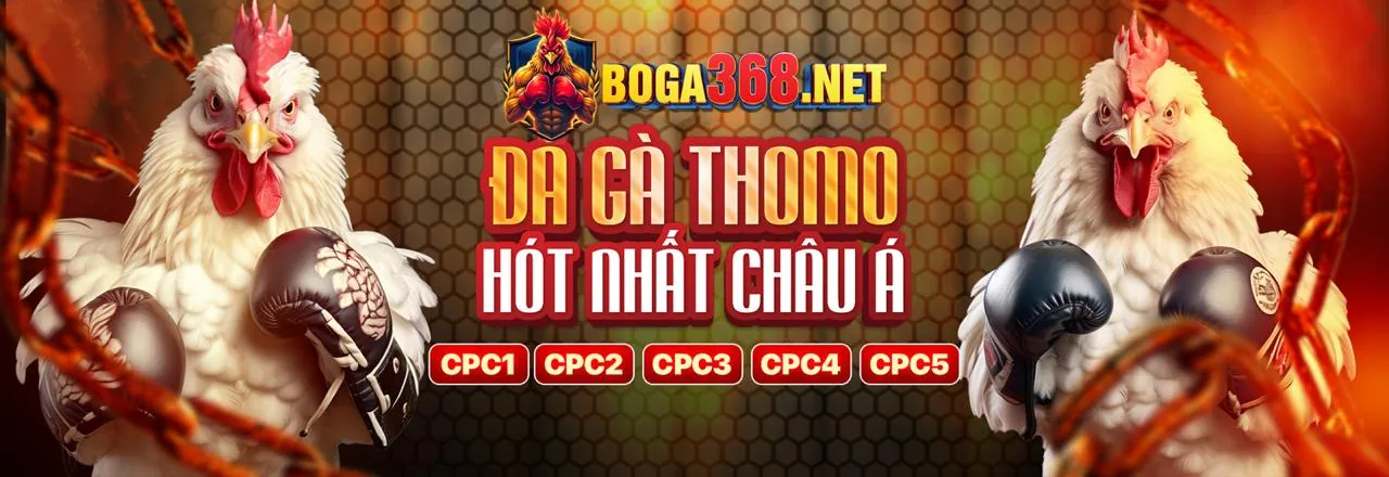Các tính năng nổi bật của BI88 BET
